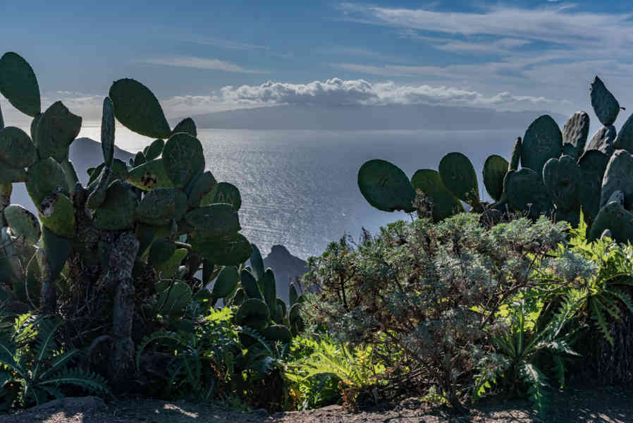 Tenerife 277 - parque rural de Teno.jpg